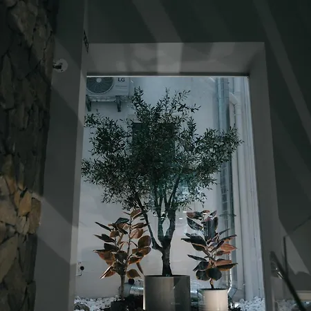 M'ar De Ar Auria Hotel