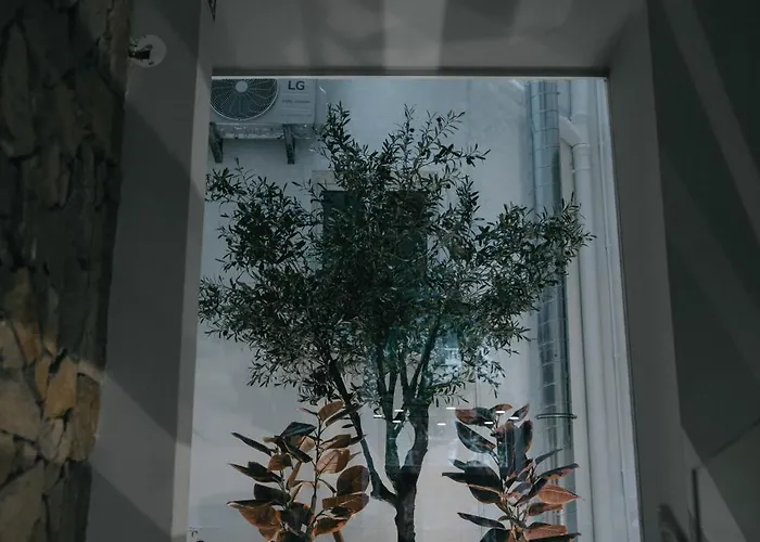 M'ar De Ar Auria 酒店